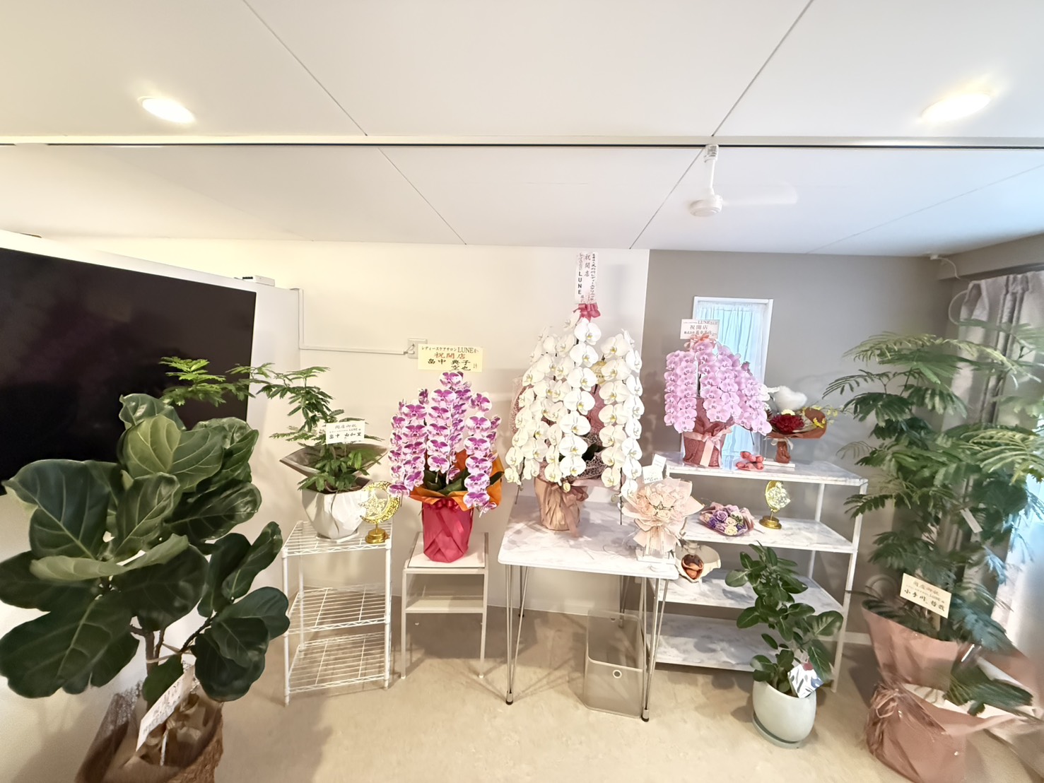 サロン内の観葉植物とお祝いのお花